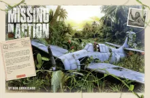Missing in Action 37J6